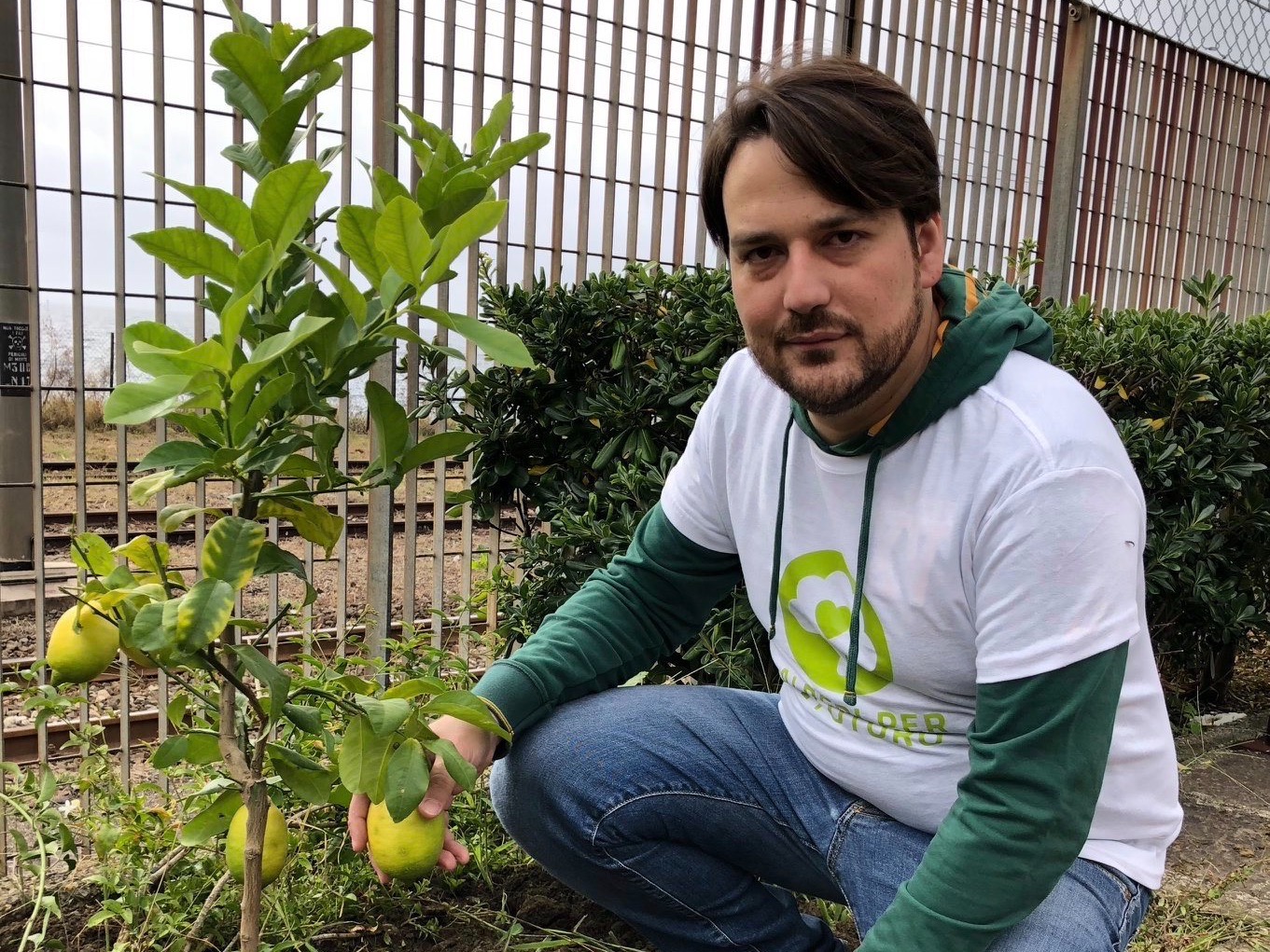Alberi per il futuro
